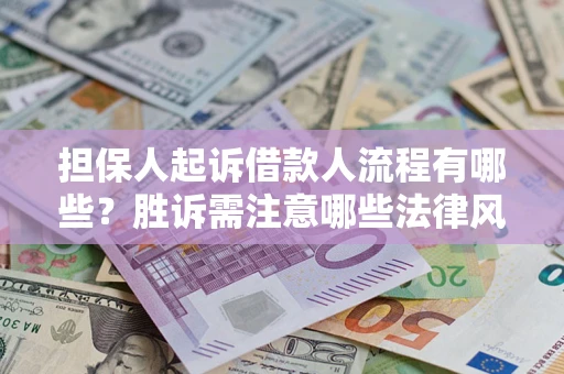 济南担保人起诉借款人流程有哪些？胜诉需注意哪些法律风险？